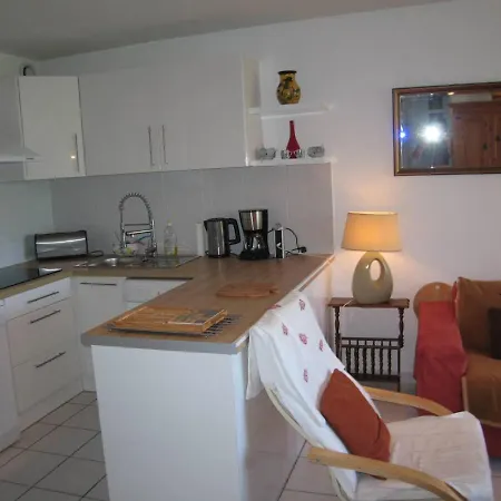 T3 Avec Piscine, Parking, Animaux Admis, Saint-cyprien - Fr-1-106-52