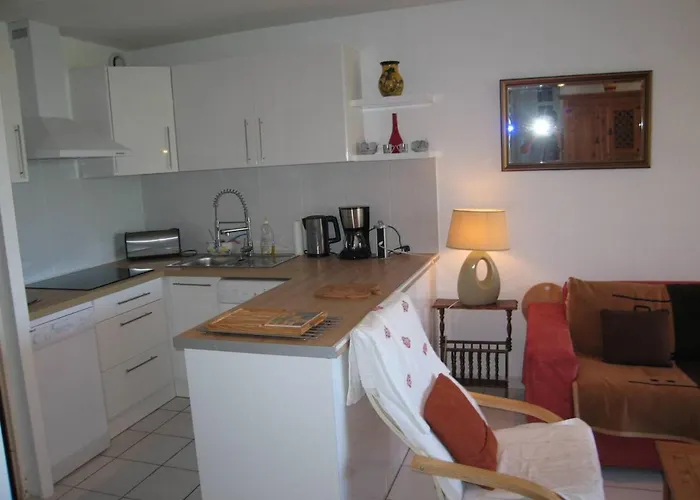 T3 Avec Piscine, Parking, Animaux Admis, Saint-cyprien - Fr-1-106-52