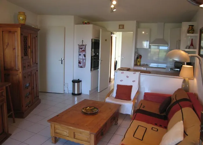 T3 Avec Piscine, Parking, Animaux Admis, Saint-cyprien - Fr-1-106-52 Apartman *