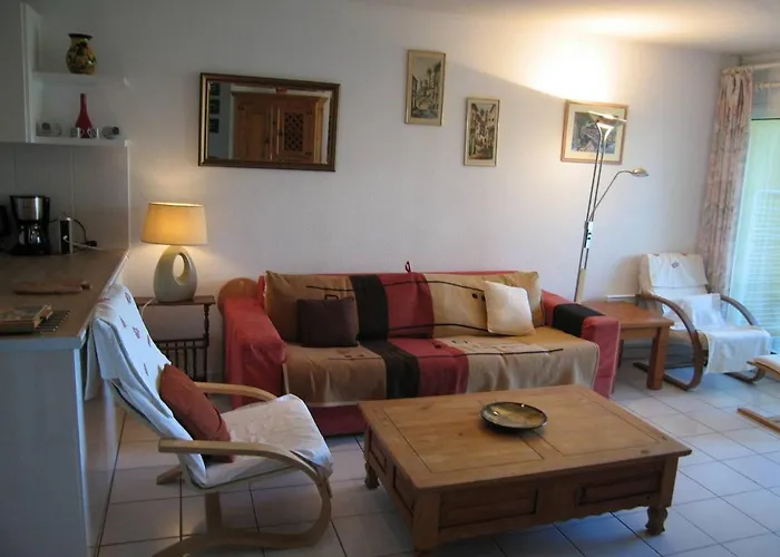 T3 Avec Piscine, Parking, Animaux Admis, Saint-cyprien - Fr-1-106-52 *