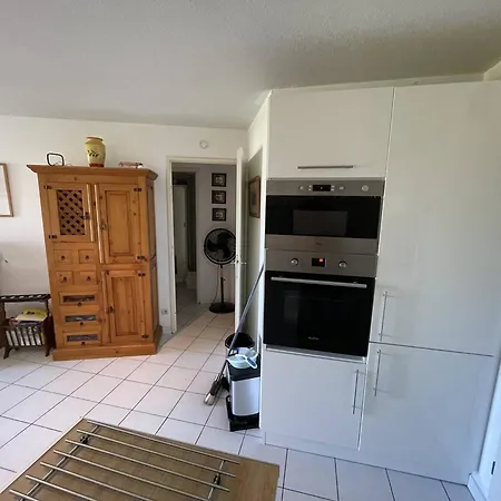 Daire T3 Avec Piscine, Parking, Animaux Admis, Saint-cyprien - Fr-1-106-52