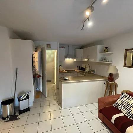 Apartmán T3 Avec Piscine, Parking, Animaux Admis, Saint-cyprien - Fr-1-106-52 Saint-Cyprien (Pyrenees-Orientales)