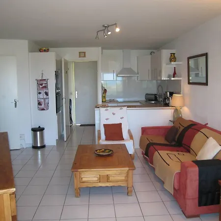 Daire T3 Avec Piscine, Parking, Animaux Admis, Saint-cyprien - Fr-1-106-52