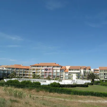 Daire T3 Avec Piscine, Parking, Animaux Admis, Saint-cyprien - Fr-1-106-52 Saint-Cyprien (Pyrenees-Orientales)