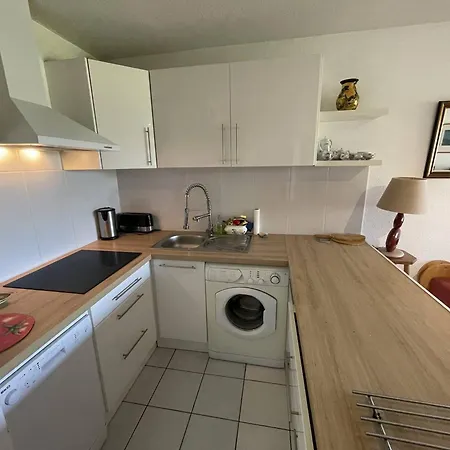 T3 Avec Piscine, Parking, Animaux Admis, Saint-cyprien - Fr-1-106-52